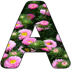 Deko-Buchstaben-Blumen_A.jpg